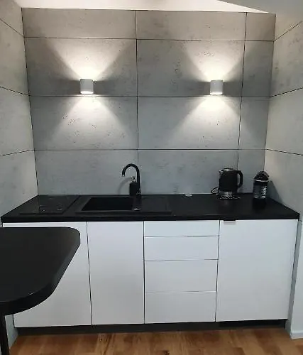 דירה Vilda פוזנן